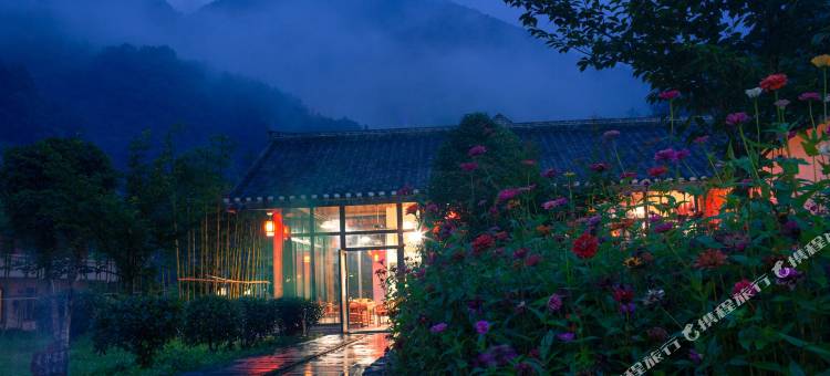梦紫阳图片