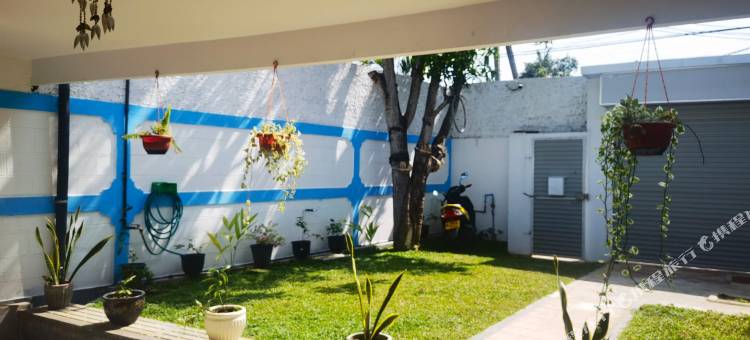 尼甘布海风宾馆(Sea Breeze Guest House Negombo)图片