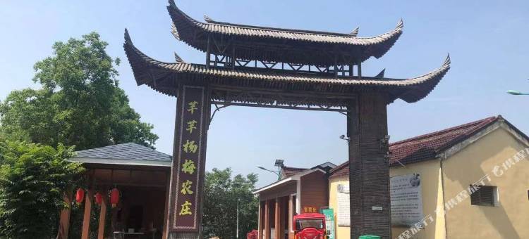 南京芊芊杨梅农庄图片