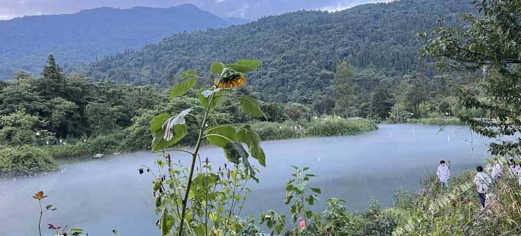 峨眉山龙云休闲山庄(零公里店)图片