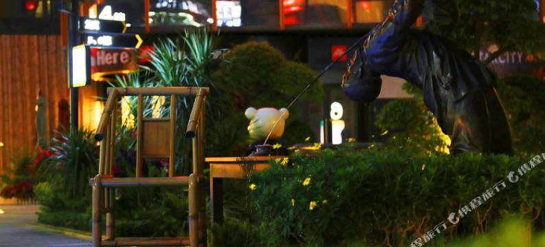 思莯度假酒店(成都火车站店)图片