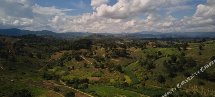 向日葵帐篷营地(Tantawan Tented Camp by Dusit, Chiang Rai)图片
