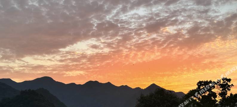 仙霞居民宿(衢州仙霞湖店)图片
