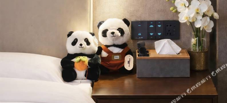 成都栖眠·空港之家酒店(成都双流国际机场店)图片