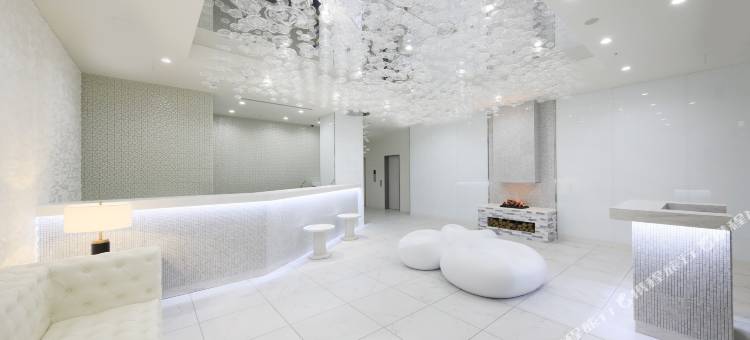 札幌薄野坤特萨酒店(Quintessa Hotel Sapporo Susukino)图片