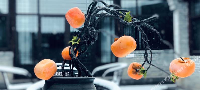 不荒·池鱼故渊民宿(蔚县暖泉古镇店)图片