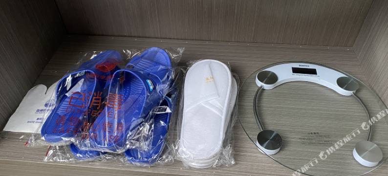 巴马盘阳故里酒店图片