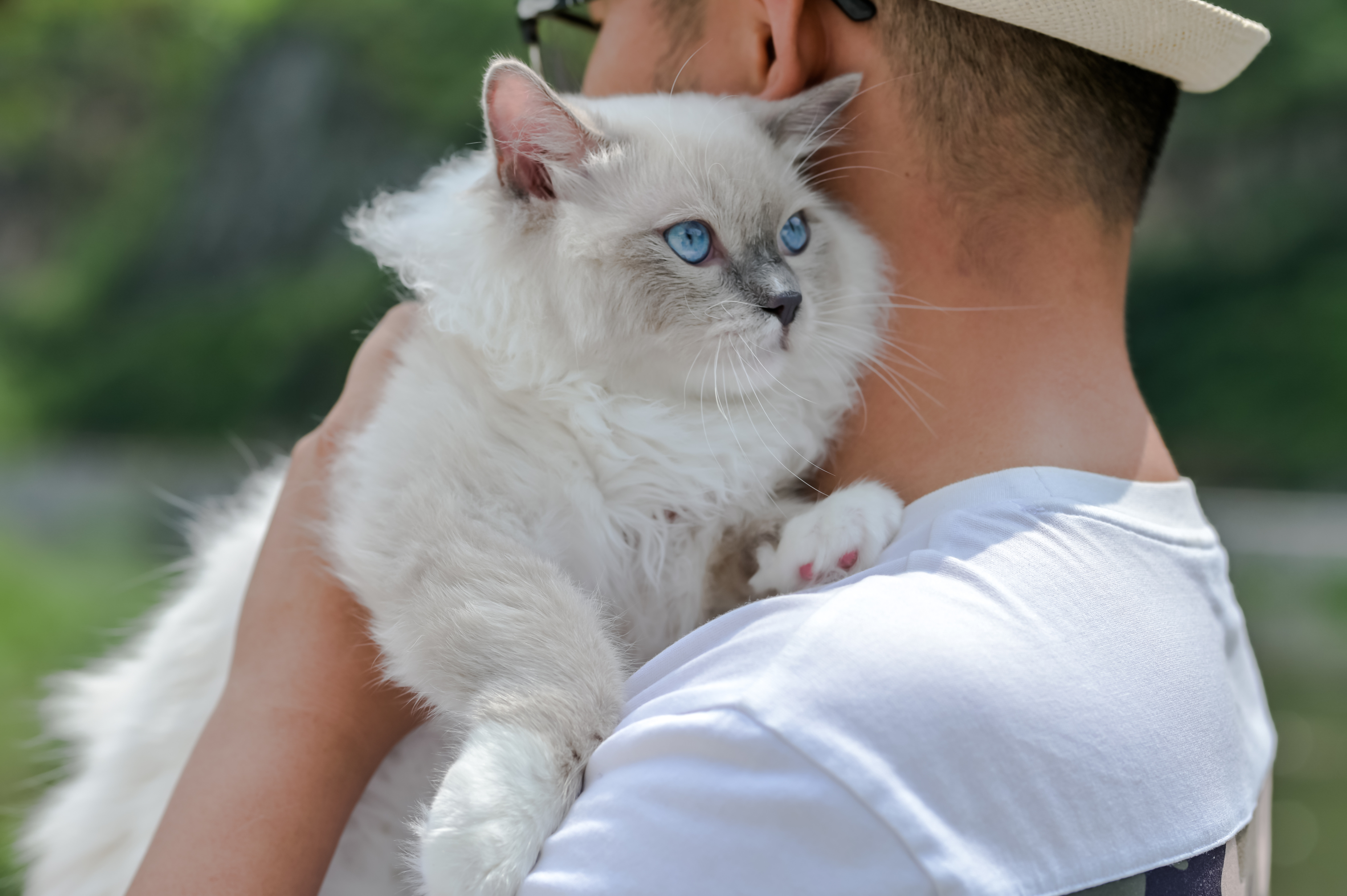 Duya Hanshe Guesthouse Hotel Overview