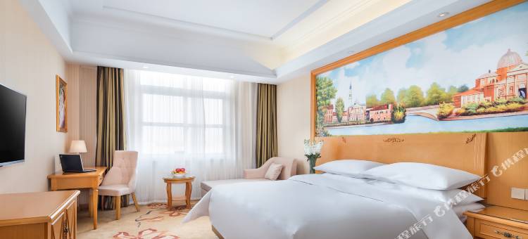 维也纳酒店(亳州亿都红星美凯龙店)图片