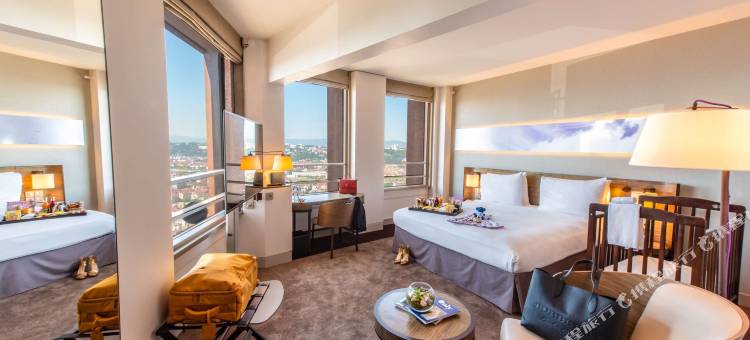 里昂丽笙蓝标酒店(Radisson Blu Hotel, Lyon)图片