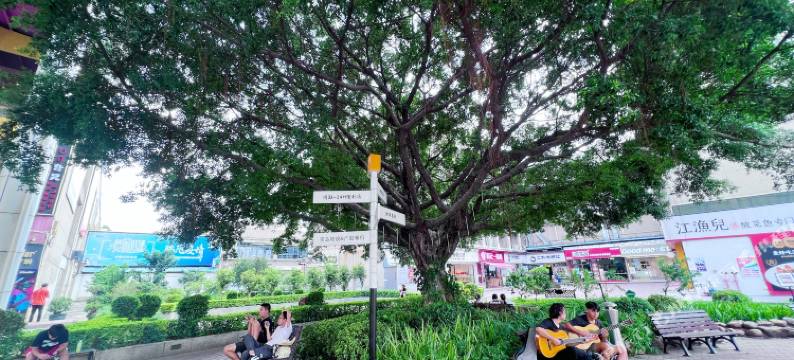 广大商务酒店(广州大学国际学术交流中心店)图片