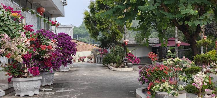 华安舒雅公寓图片