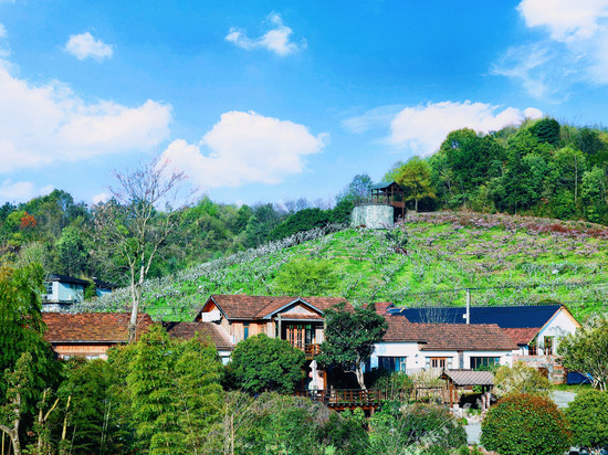 杭州荷月居民宿