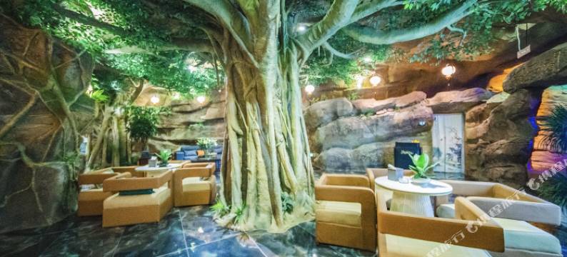 瑞丽水乡丽都智能酒店图片