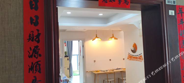 三只猫青年旅舍(卓悦汇店)图片