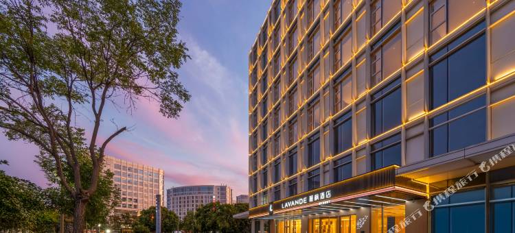 麗枫酒店(天津滨海国际机场空港商务园店)图片