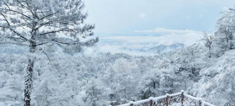 衡山风味山庄·观日出民宿(南岳衡山景区店)图片