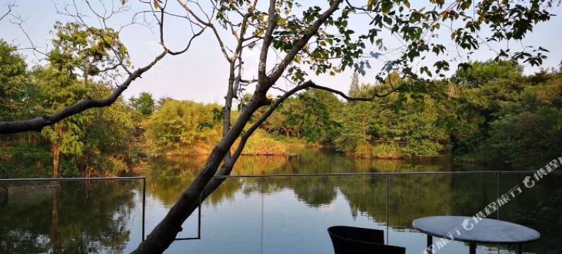 杭州清境西溪民宿(西溪慢生活街区店)图片