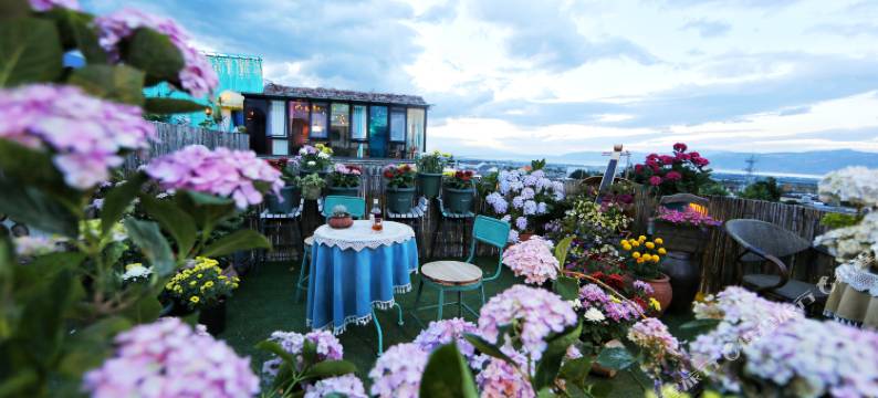 大理古城山山有木国学花园民宿图片