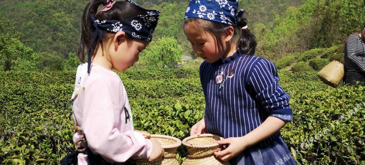 官山世外茶源客栈图片
