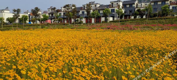 曲阜鲁源印象民宿(尼山圣境店)图片