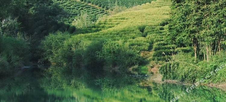 安吉地香民宿(中南百草原浙江自然博物馆店)图片