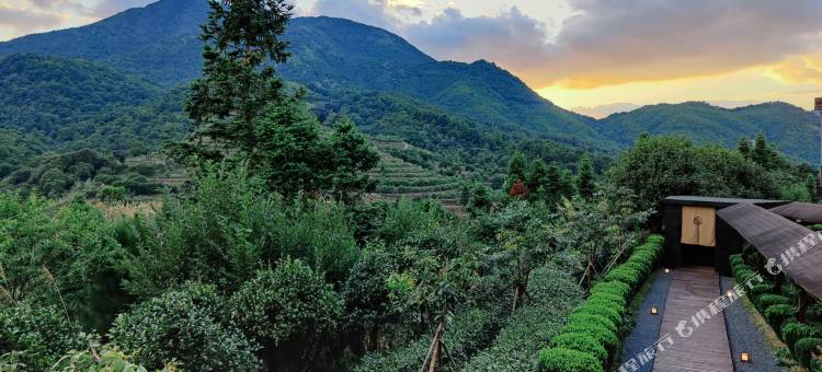 岳山嘉茗茶旅民宿图片