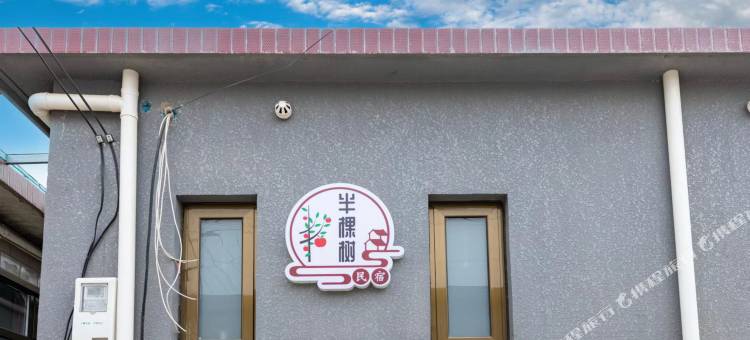 北京半棵树民宿图片