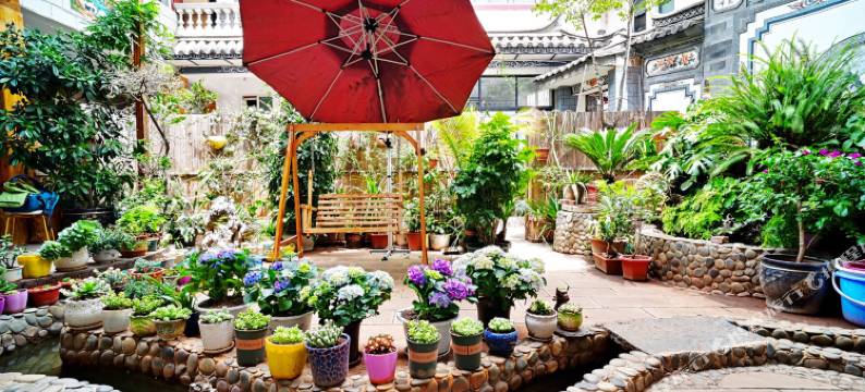 听风小院客栈(大理古城店)图片