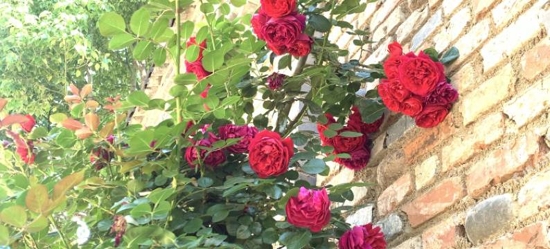 沙溪粮仓特色民宿图片