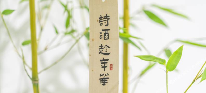 连云港一二小栈民宿(花果山景区店)图片