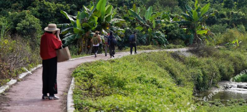 田馨小院民宿(罗洞工匠小镇店)图片