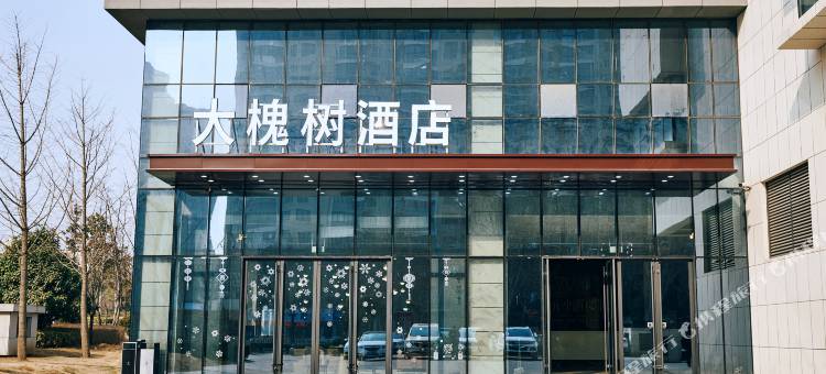 大槐树酒店(牡丹广场万达店)图片