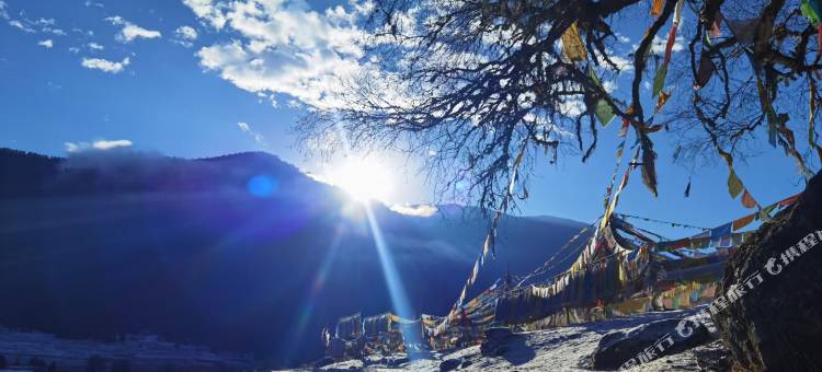 林芝擦贡康桑民宿(鲁朗高山牧场景区店)图片