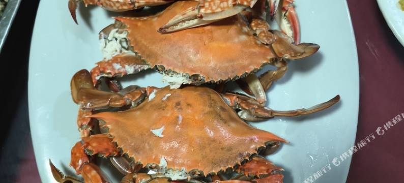 日照雅诚宾馆图片