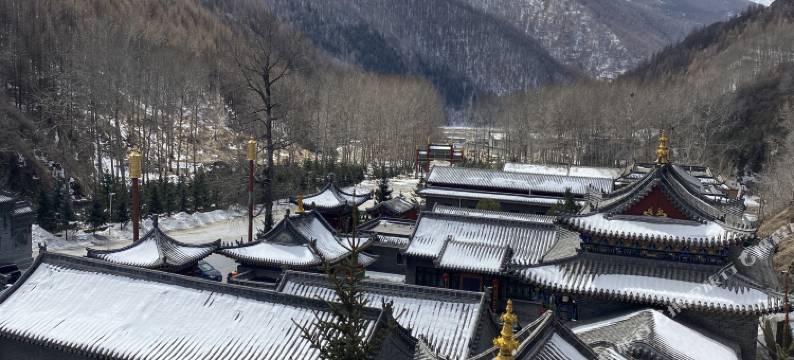 五台山观山茶舍民宿图片