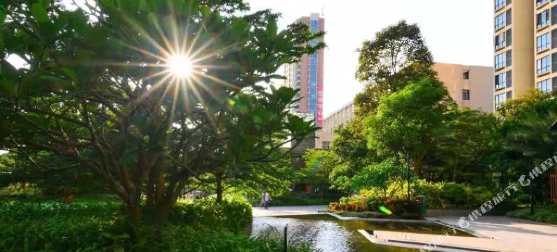 好莱居海景公寓图片