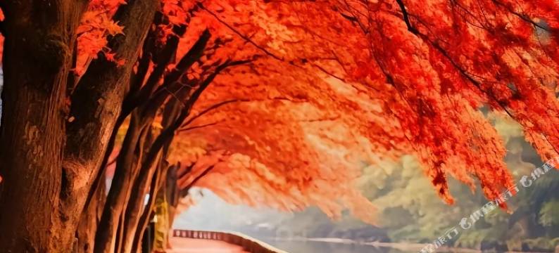 南雄安逸宾馆图片