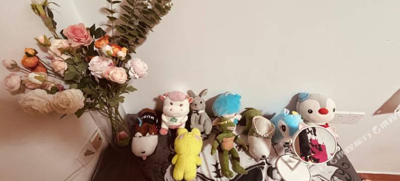 背包客青年旅舍(裕后街店)图片