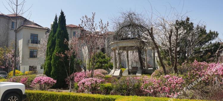 大连柚家海宿(金石滩发现王国店)图片