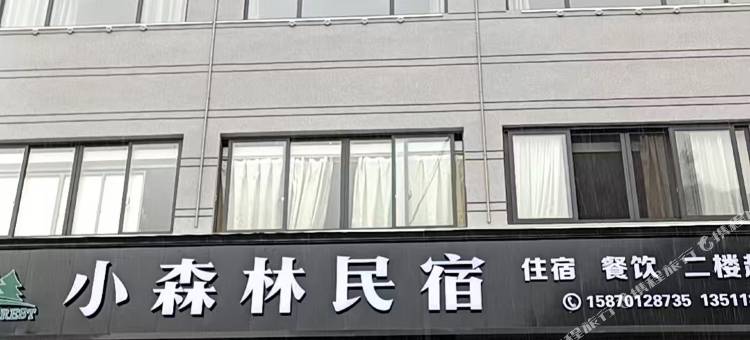 小森林民宿图片