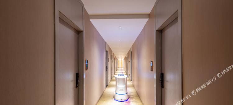 纽宾凯酒店(汉口火车站常青路店)图片