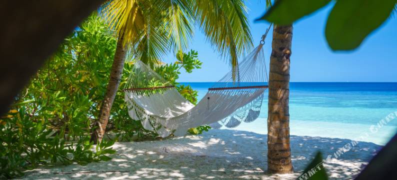 马尔代夫美憬阁米里希V别墅(V Villas Maldives at Mirihi - MGallery Collection)图片