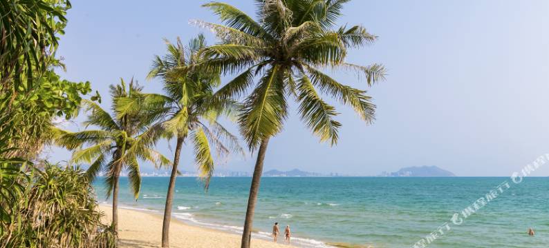 新兴花园大酒店图片