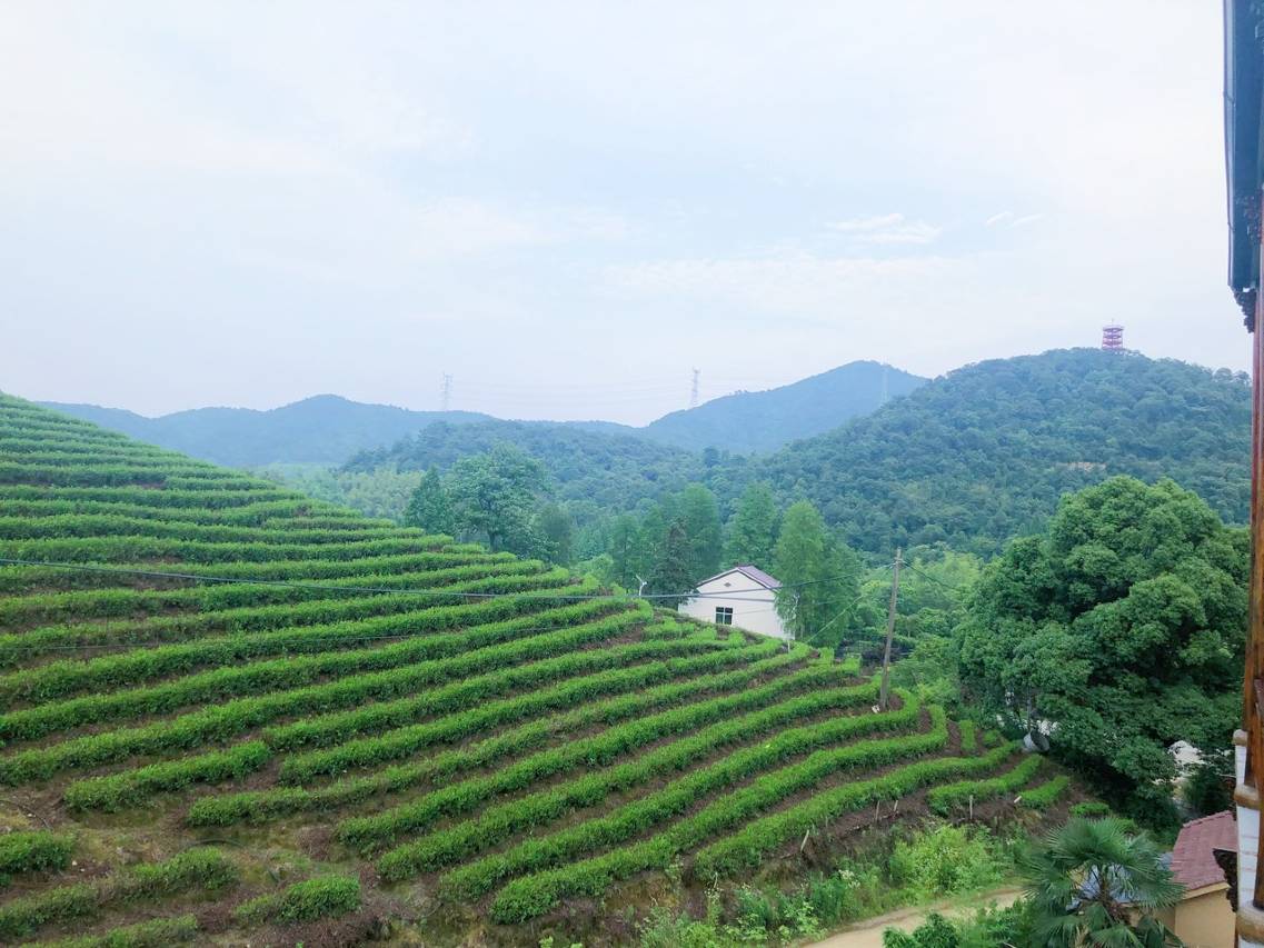 归去来兮·见山庭院丨翠院清居丨度假民宿(西塞山旅游度假区店)图片