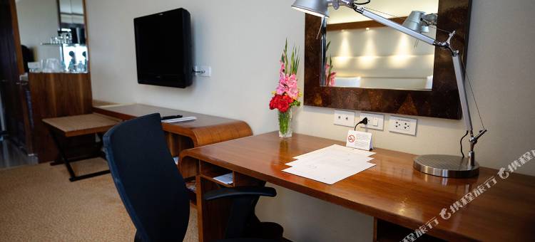 宿务马哥孛罗广场酒店(Marco Polo Plaza Cebu)图片