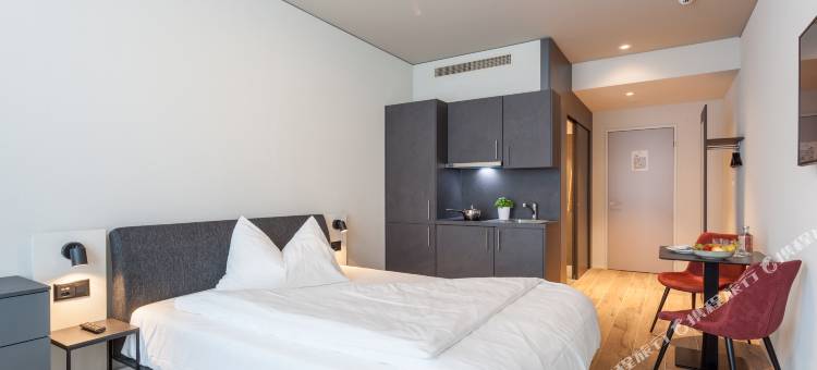百夫长瑞士品质酒店(Centurion Swiss Quality Towerhotel Windisch)图片