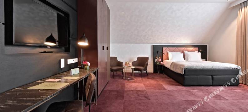 阿姆斯特丹桑丹姆萨恩酒店(Zaan Hotel Amsterdam - Zaandam)图片