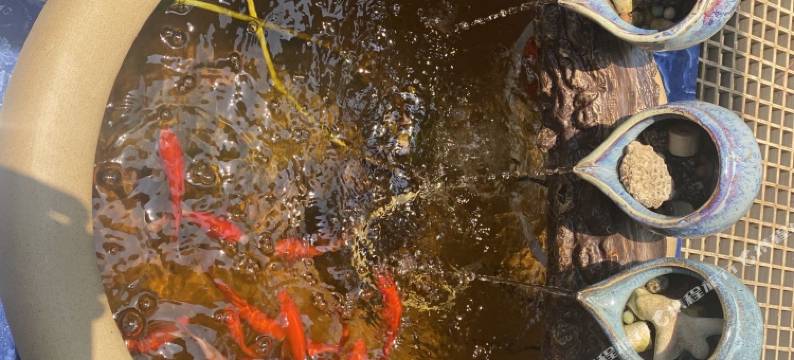 涠洲岛格嘉观海听澜民宿(滴水丹屏店)图片