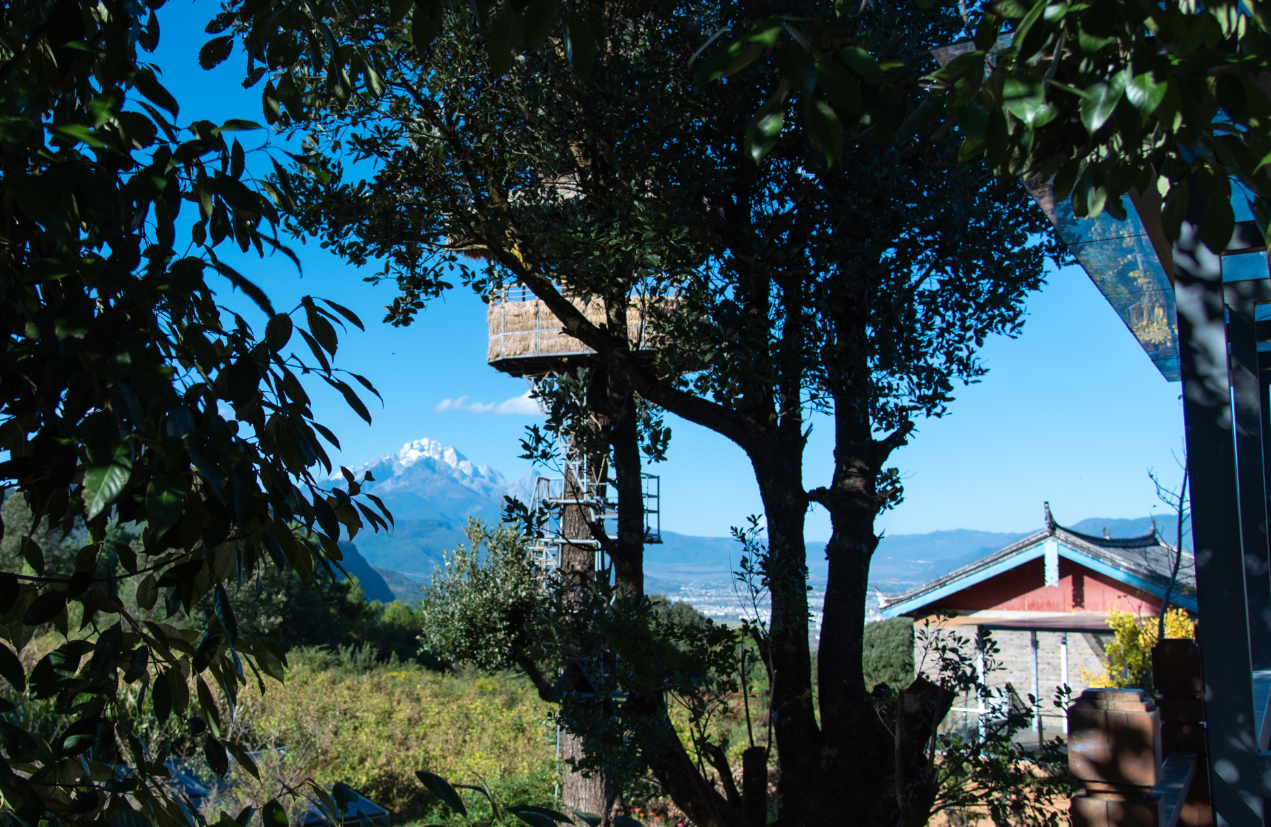 Gengxuan Caoyu Yulong Snow Mountain View Resort Homestay Over view